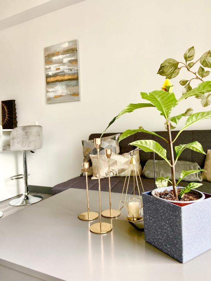 Comodo Y Elegante Apartamento En Fabuloso Condo! San Jose  Bagian luar foto